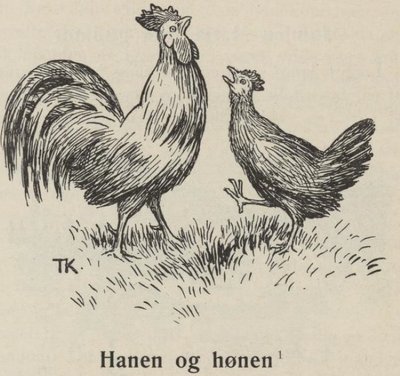 Der Hahn und die Henne von Theodor Kittelsen
